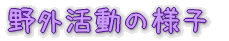 O̗lq